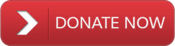 Donate Now